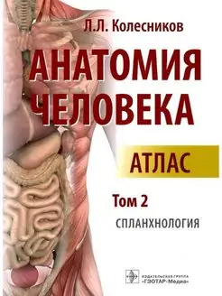 Анатомия человека. Атлас. Том 2