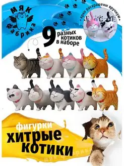 Котики