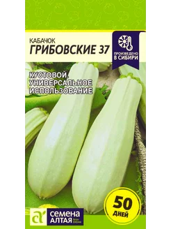 Кабачок ГРИБОВСКИЕ 37