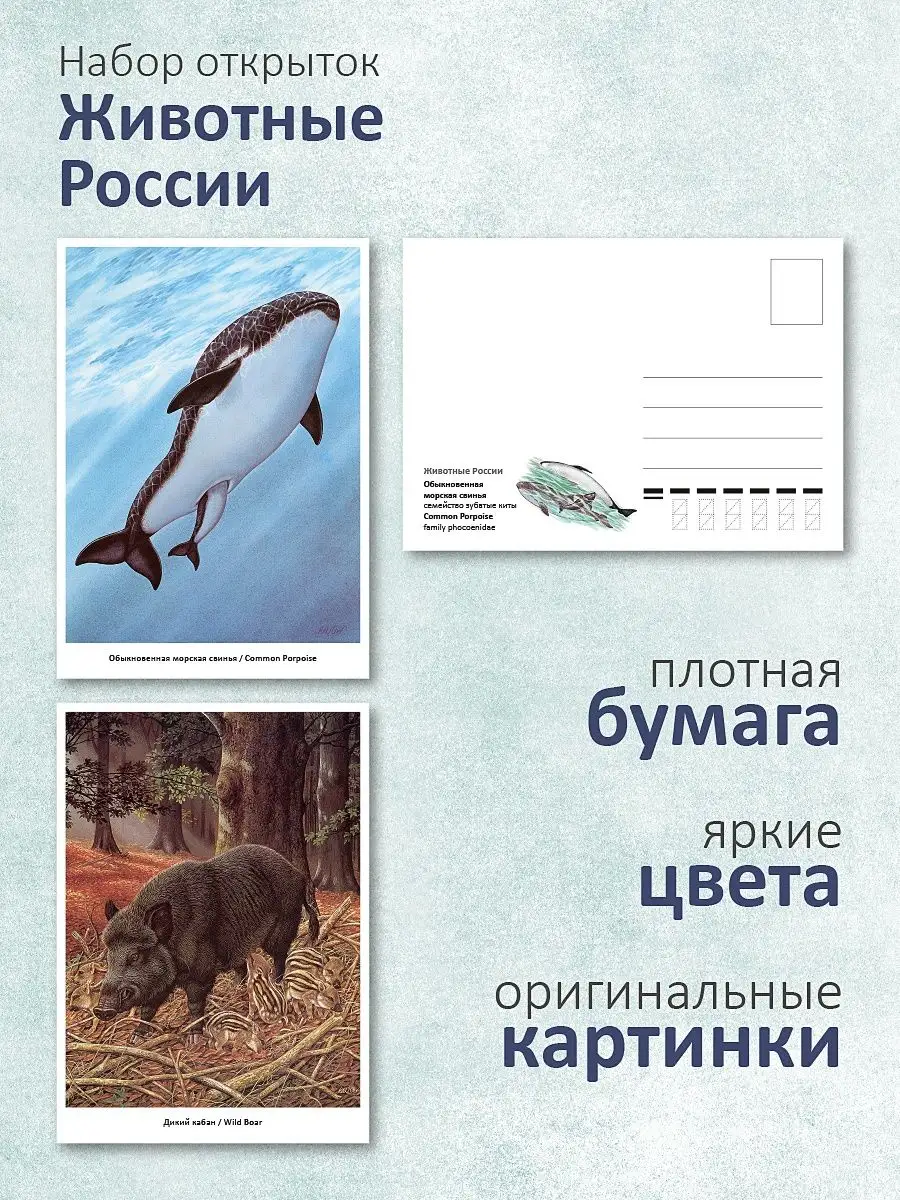 Искусство поздравления. Петербуржцы могут бесплатно отправить авторские открытки онлайн
