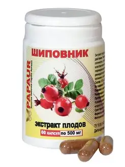 Шиповник. Экстракт сухой 100%