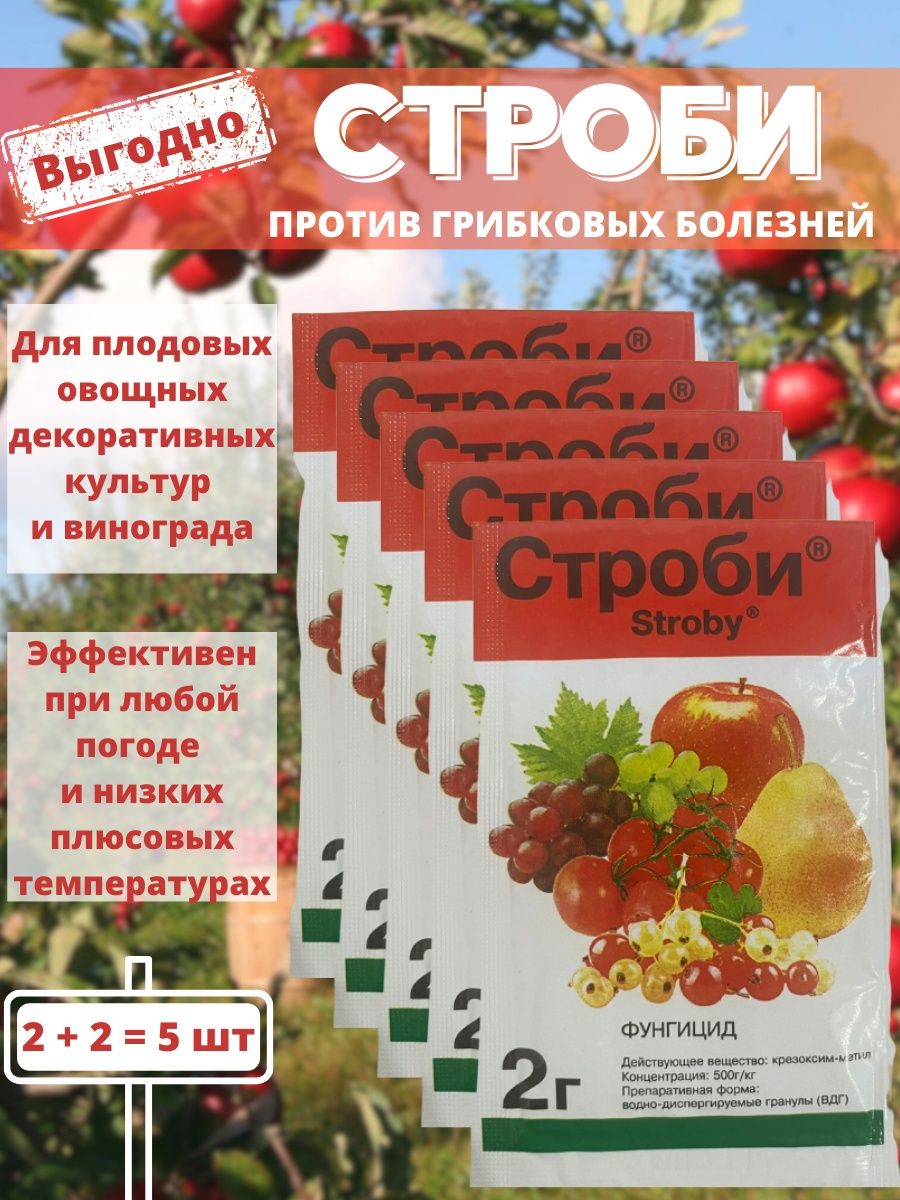 Строби