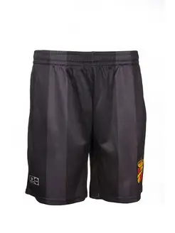 Шорты Men's Shorts