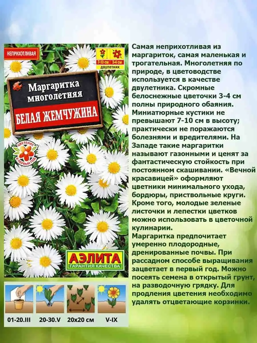 Платье Из Маргариток 2