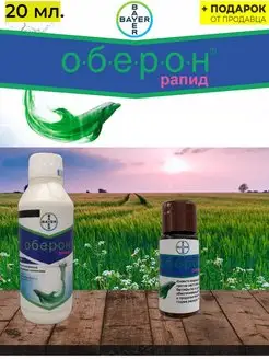 Оберон Рапид