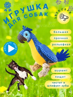 Мягкая игрушка попугай для собак