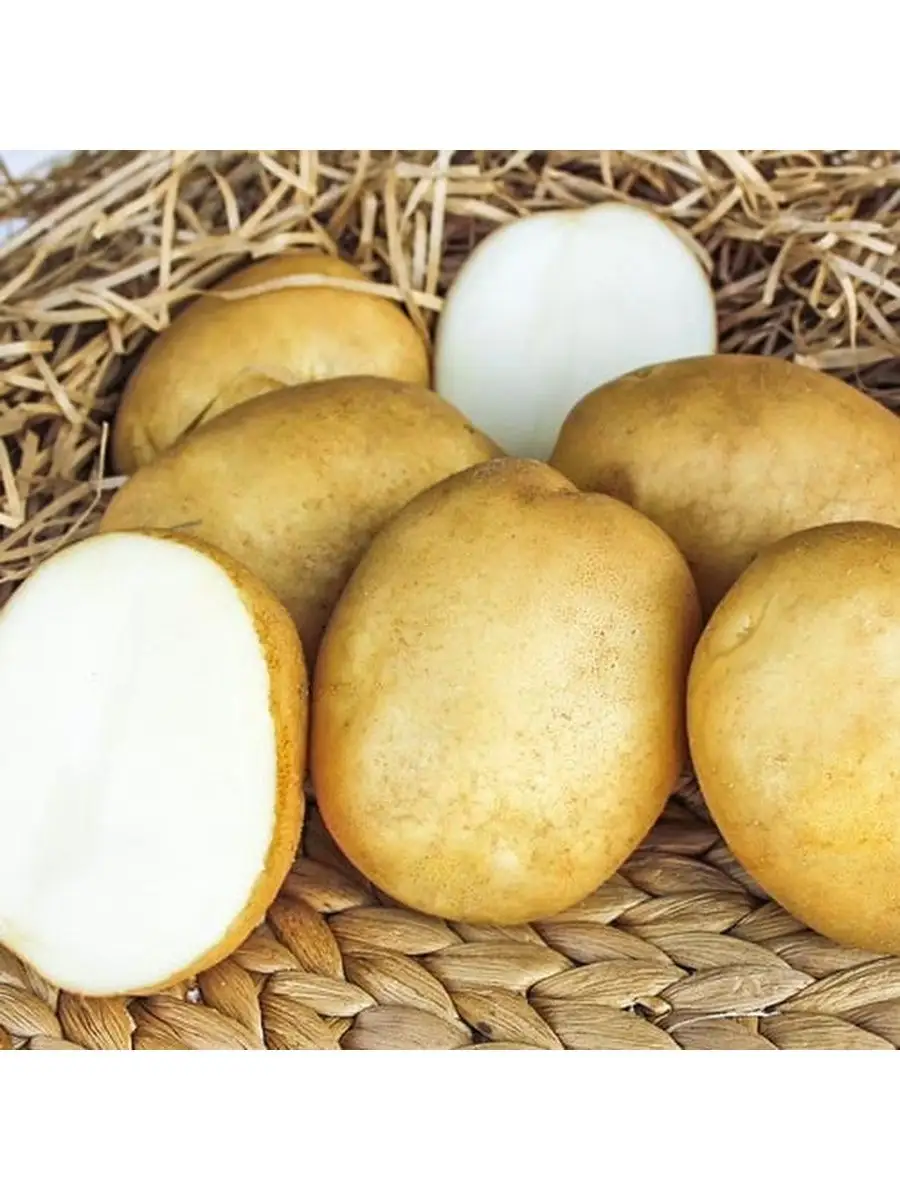 Картофель семенной клубни, картофель для посадки Королевский сад 160952563купить в интернет-магазине Wildberries