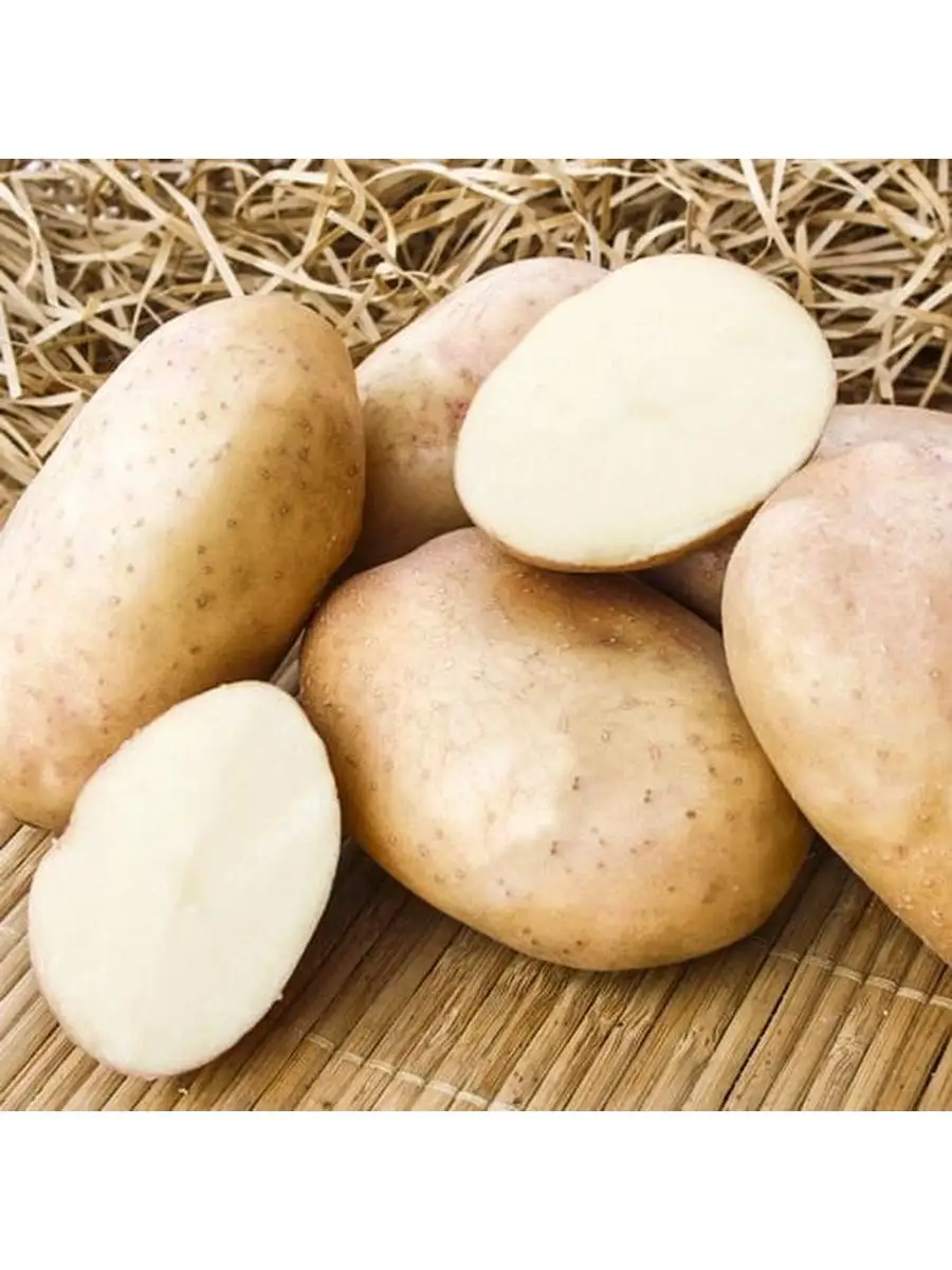 Картофель семенной клубни, картофель для посадки Королевский сад 160952587купить в интернет-магазине Wildberries
