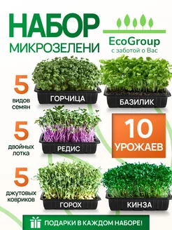 Микрозелень для выращивания