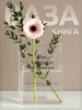 Пластиковая ваза для цветов и сухоцветов прозрачная Книга бренд Korizza.brand продавец Продавец № 1232757