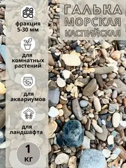 Галька морская каспийская 5-30мм, 1 кг