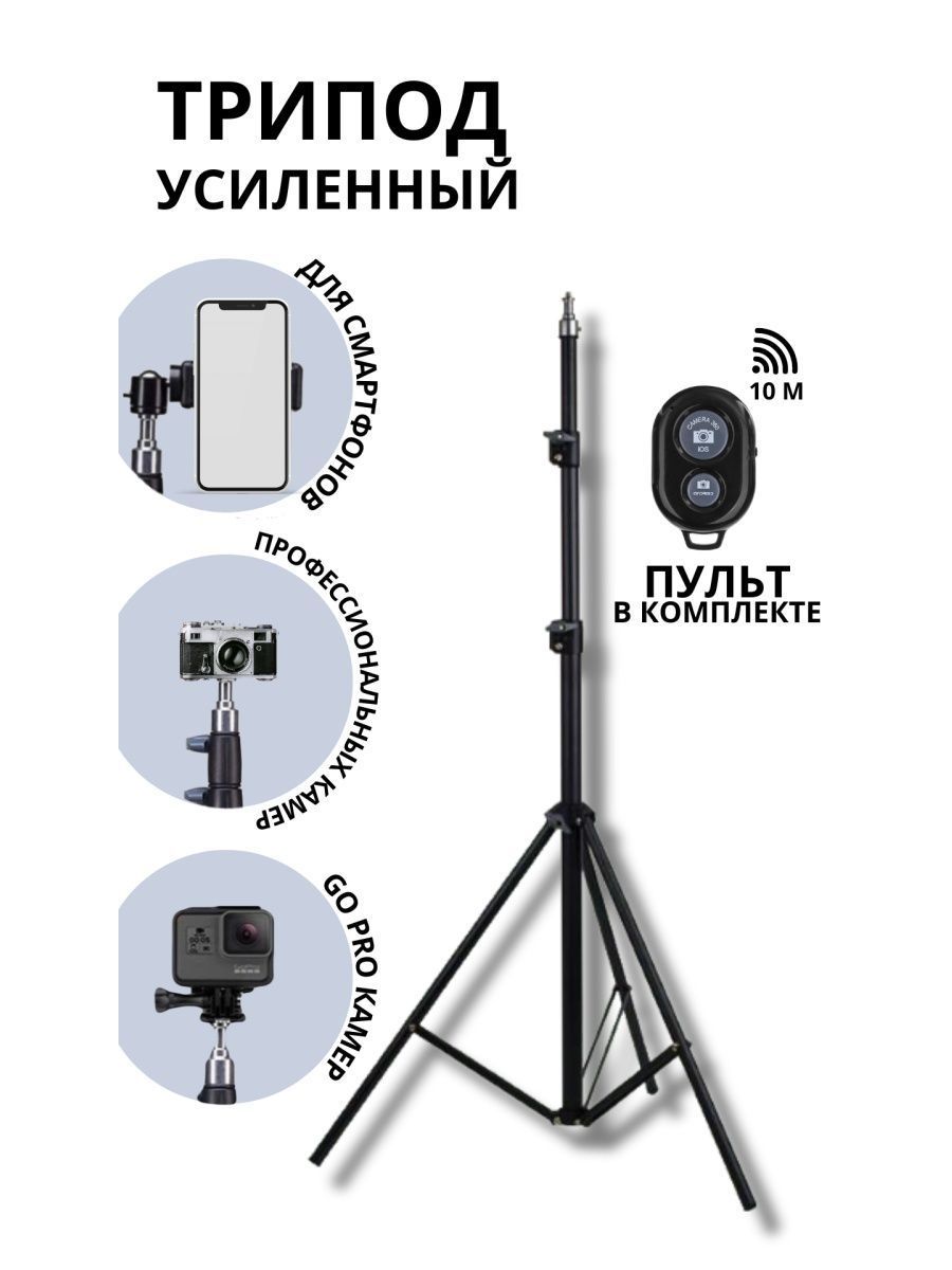 свет камера мотор фанфик маура фото 70