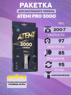 Ракетка для настольного тенниса PRO 3000 AN