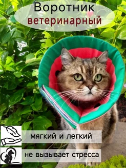 Мягкий воротник для кошек и собак