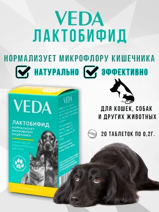 Инструкция по применению Парастоп для голубей >> Голуби | Саввушкин Двор