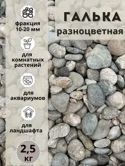 Галька разноцветная(пестрая) 10-20мм, 2,5 кг