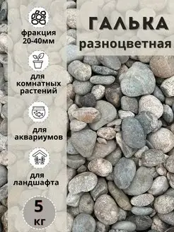 Галька разноцветная(пестрая) 20-40мм, 5 кг