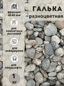 Галька разноцветная(пестрая) 40-60мм, 1 кг