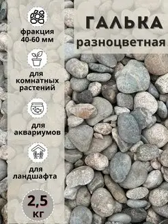 Галька разноцветная(пестрая) 40-60мм, 2,5 кг