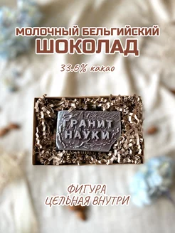 Фигурка из молочного шоколада"Гранит науки"