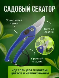 Секатор садовый, Сучкорез для обрезки Мини садовые ножницы