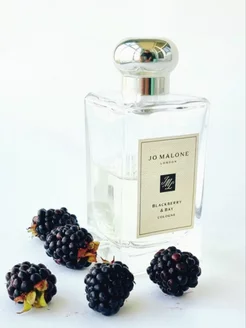 Blackberry & Bay Jo Malone London духи свежие смородина