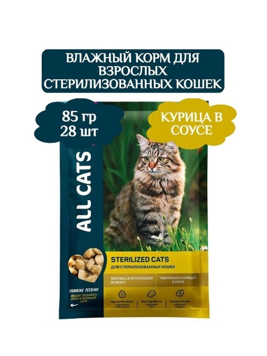 All cats корм для кошек