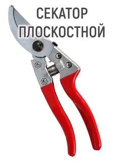 Секатор плоскостной, 20 см