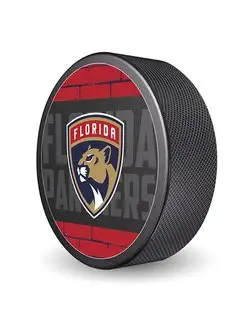 Шайба хоккейного клуба Florida Panthers 2023