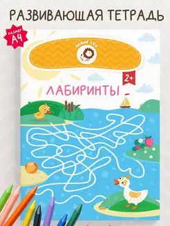 Книга для детей с заданиями лабиринты в подарок