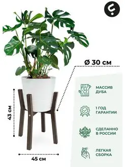 Подставка для растения деревянная Герберт, D 30см, S