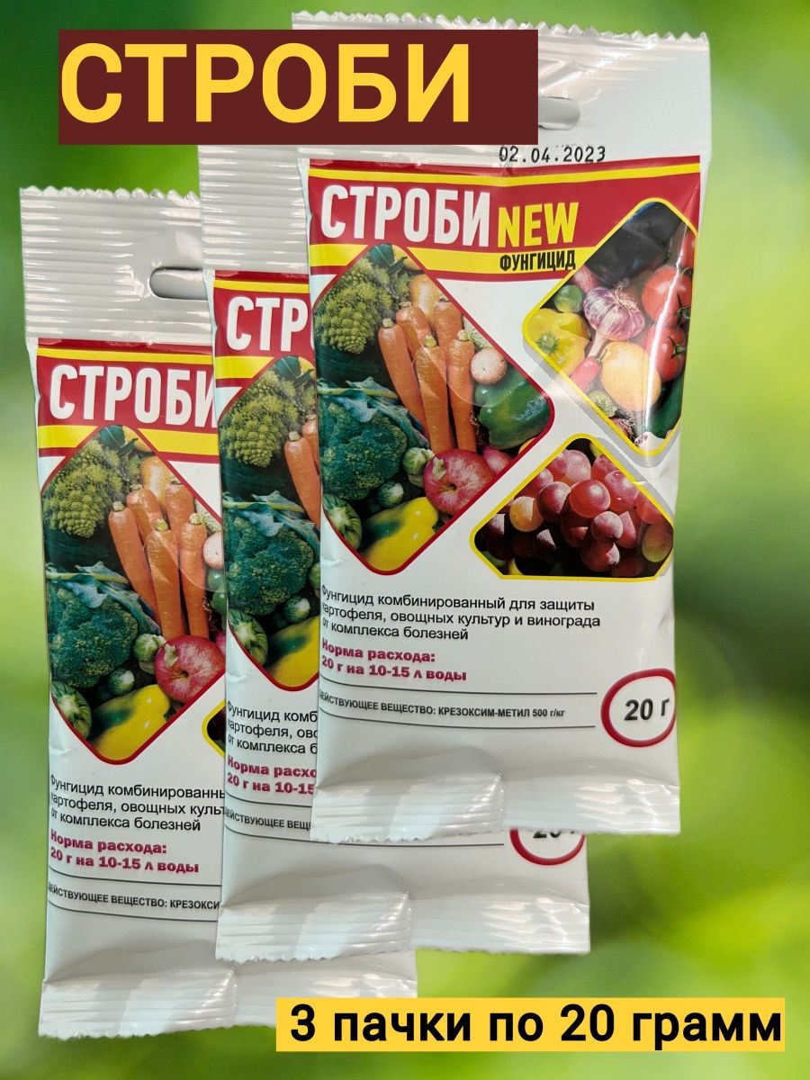 Строби