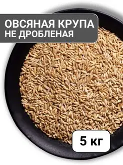 Овсяная крупа недробленая