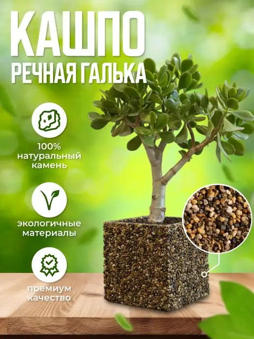 Кашпо из морских камешков.