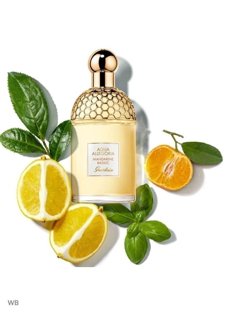 Духи аква мандарин. Guerlain Aqua Allegoria Mandarine basilic. Guerlain Aqua Allegoria Mandarine. Духи Aqua Allegoria Mandarine basilic. Aqua Allegoria Mandarie Basillic/ Guerlian.