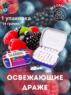 Конфеты без сахара со вкусом Лесные ягоды SCANDIC 163218379 купить за 111 ₽ в интернет-магазине Wildberries