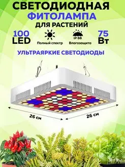 Фитолампа для растений и рассады полного спектра