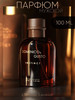 Духи мужские стойкие Domenico and Gusto Instinct 100 мл бренд Christine Lavoisier Parfums продавец Продавец № 465141