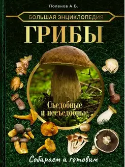 Большая энциклопедия. Грибы