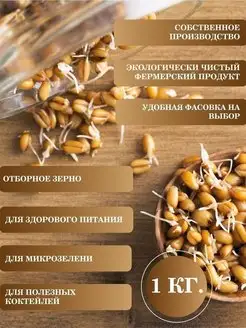 Пшеница для проращивания 1кг