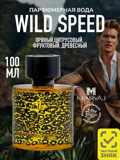 Парфюмерная вода мужская WILD SPEED FOR HIM, 100 мл