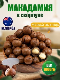 Макадамия орех в скорлупе 1 кг Nuts Life 163671752 купить за 554 ₽ в интернет-магазине Wildberries