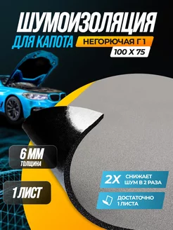 Шумоизоляция автомобиля R-ton 6, 1 большой лист (0,75 кв.м)