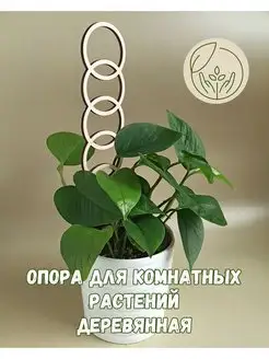 Опора для комнатных растений