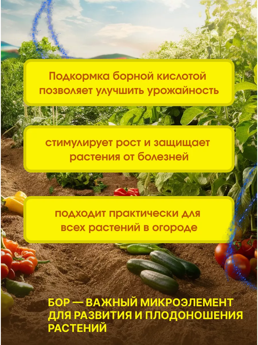 Подкормка помидор и огурцов борной кислотой. Подкормки из борной кислоты. борная кислота для подкормки растений на огороде таблица с фото.