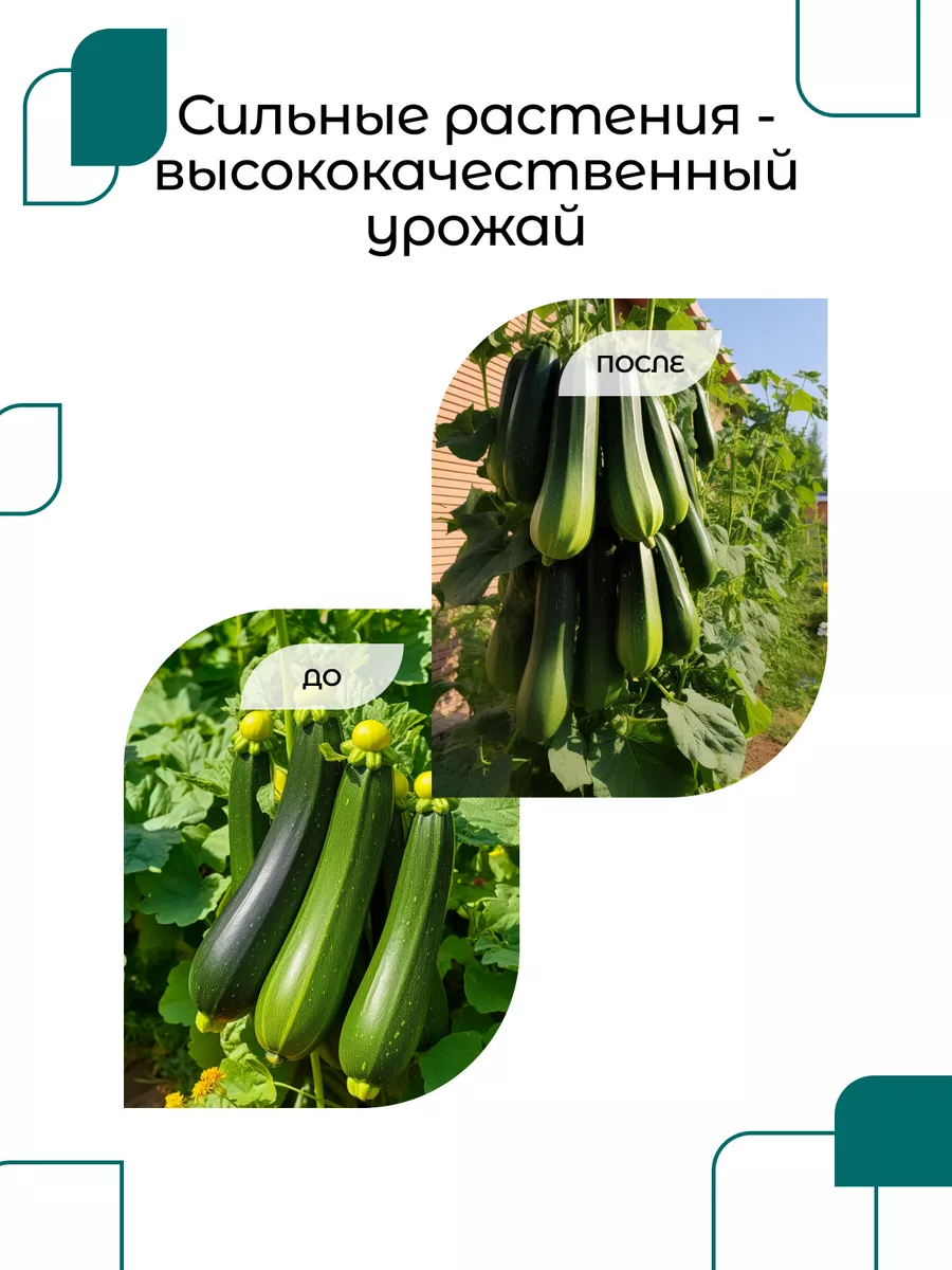 Rhino Skin 1Л стимулятор универсальный Advanced Nutrients 163853302 купить  за 3 414 ₽ в интернет-магазине Wildberries