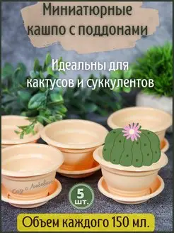 5 мини кашпо для кактусов, фиалок, суккулентов с поддоном