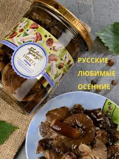 Грибы лесные опята осенние маринованные