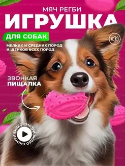 Игрушки для собак мячик