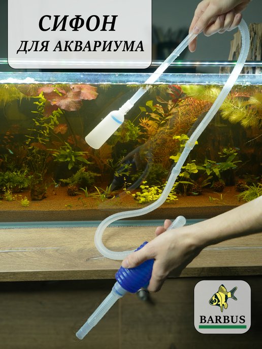 Оформление аквариума: красивый дизайн своими руками